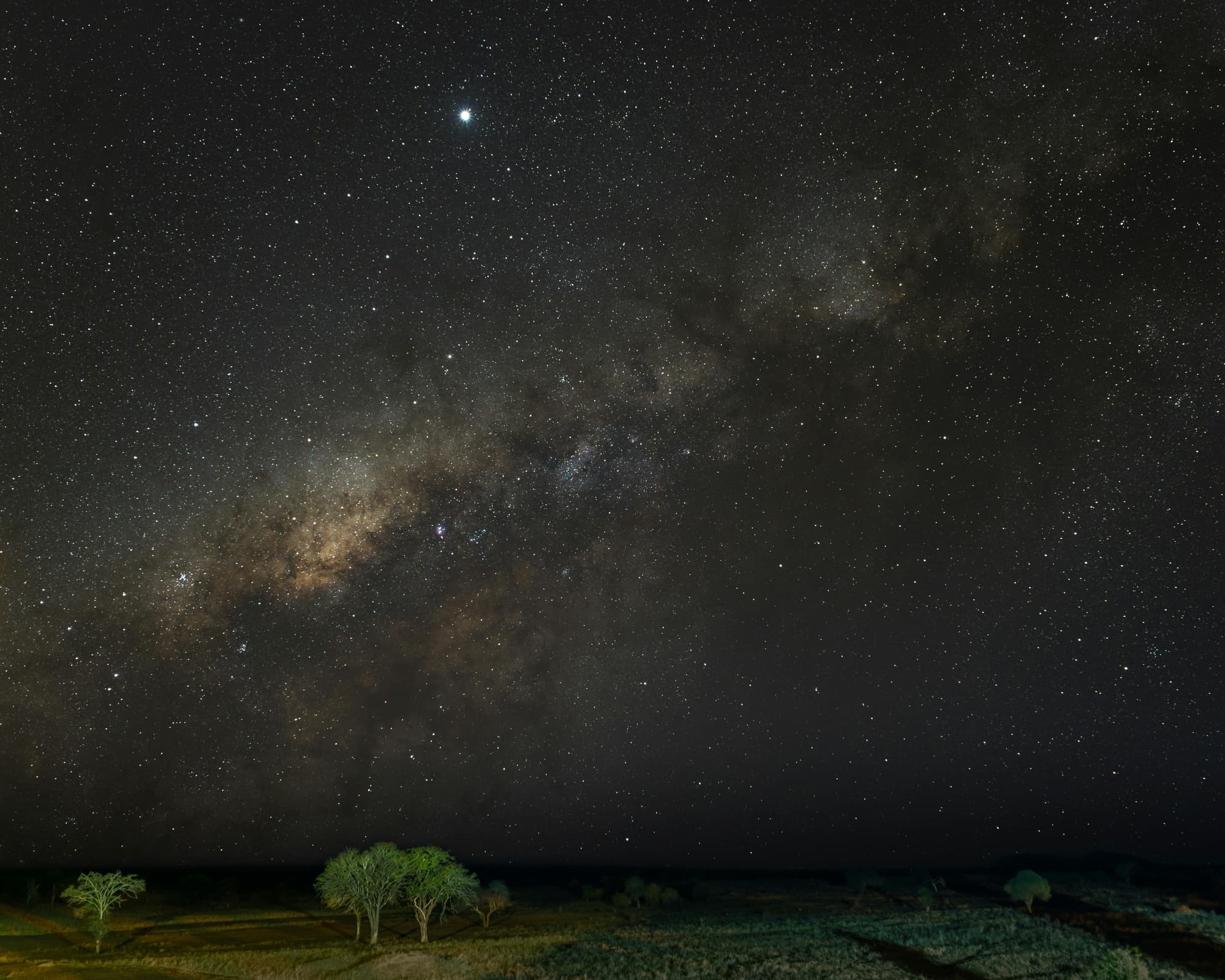 Safari "8 Tage Safari Abenteuer" (ab/bis Mombasa)