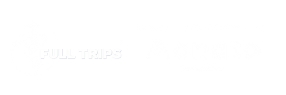 FULL TRIPS MAYORISTA