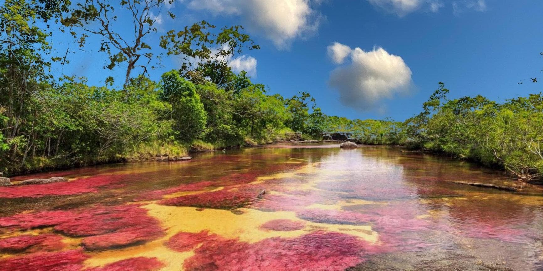 Dia 3. Visita a Caño Cristales (FD) / Compartido