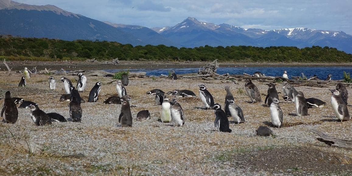 3° Giorno: Peninsula Valdes B/L/-