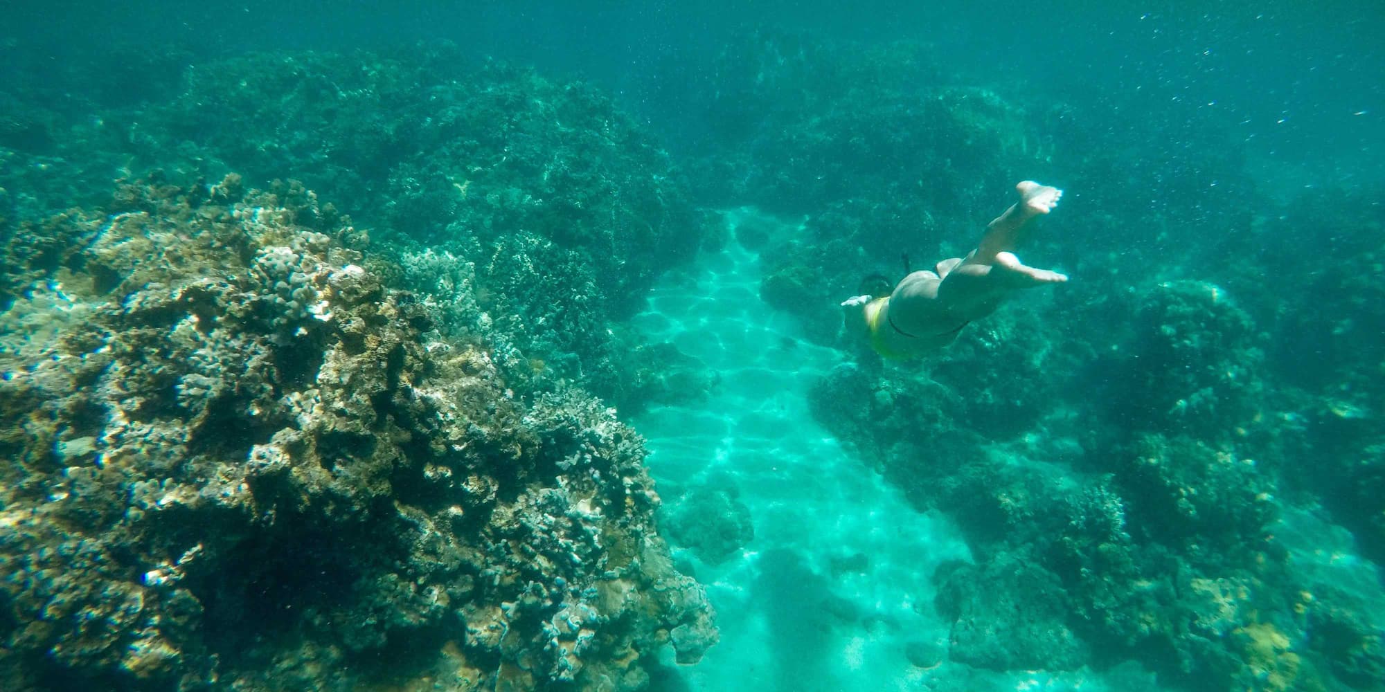 DAY 3: FLIGHT TO THE GREAT BARRIER REEF – CAIRNS