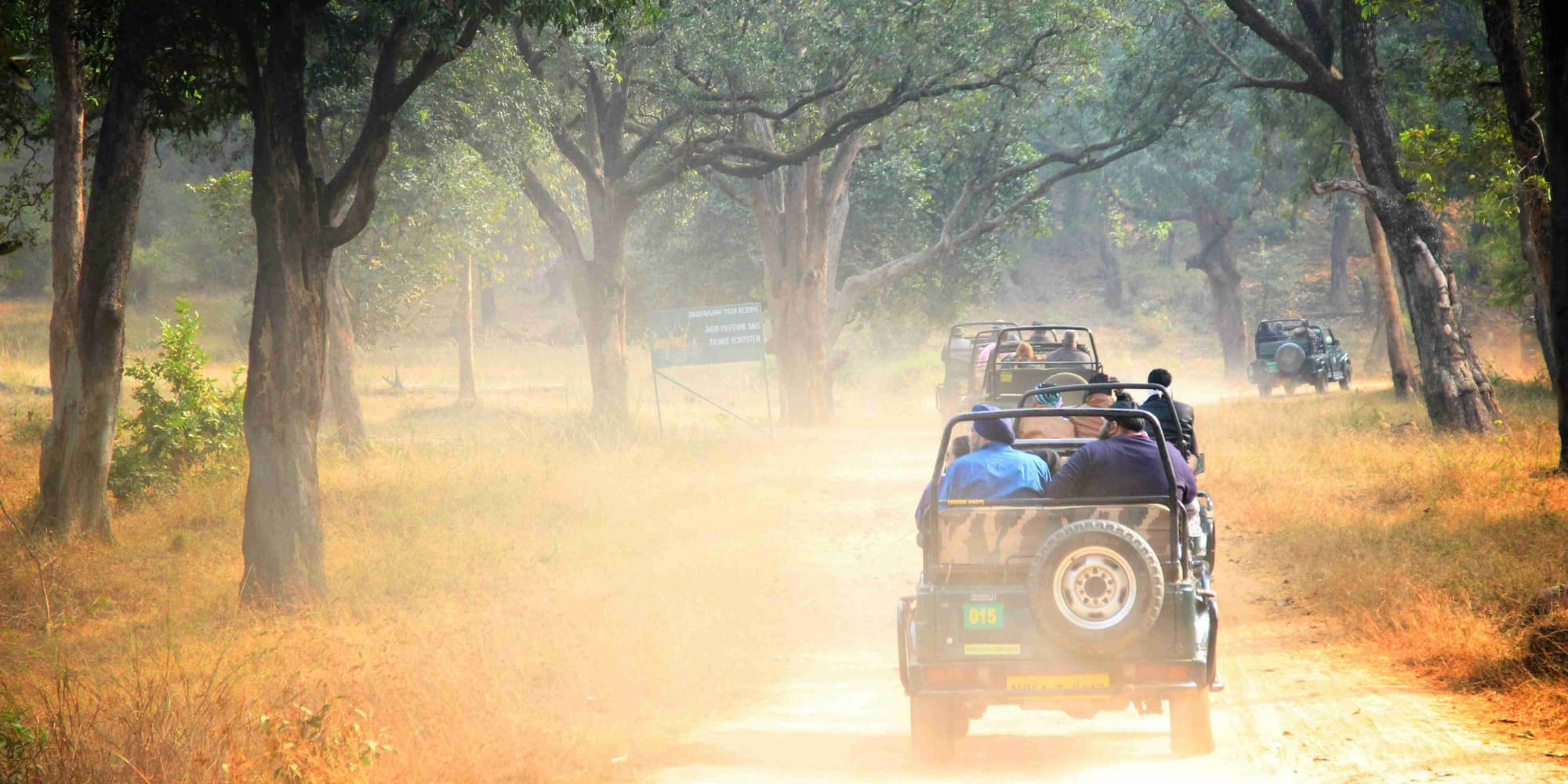 Giorno 2: Volo Delhi - Jabalpur e trasferimento al Parco Nazionale di Bandhavgarh (190 km – 4,5-5 ore)