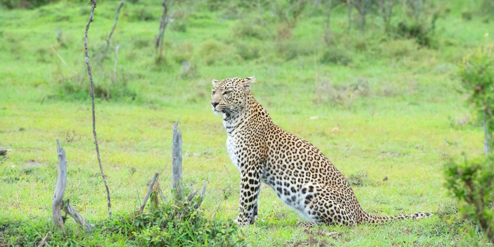1º GIORNO: Arrivo in NAMIBIA