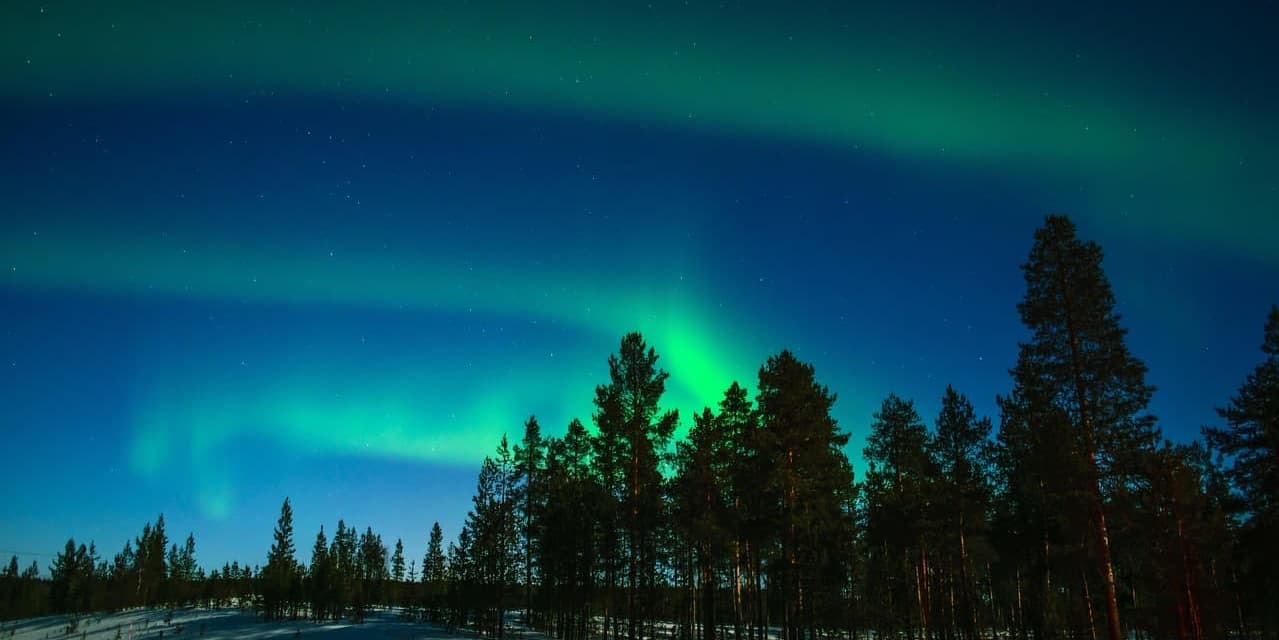 GIORNO 03 CROCIERA ROMPIGHIACCIO E CANI HUSKY