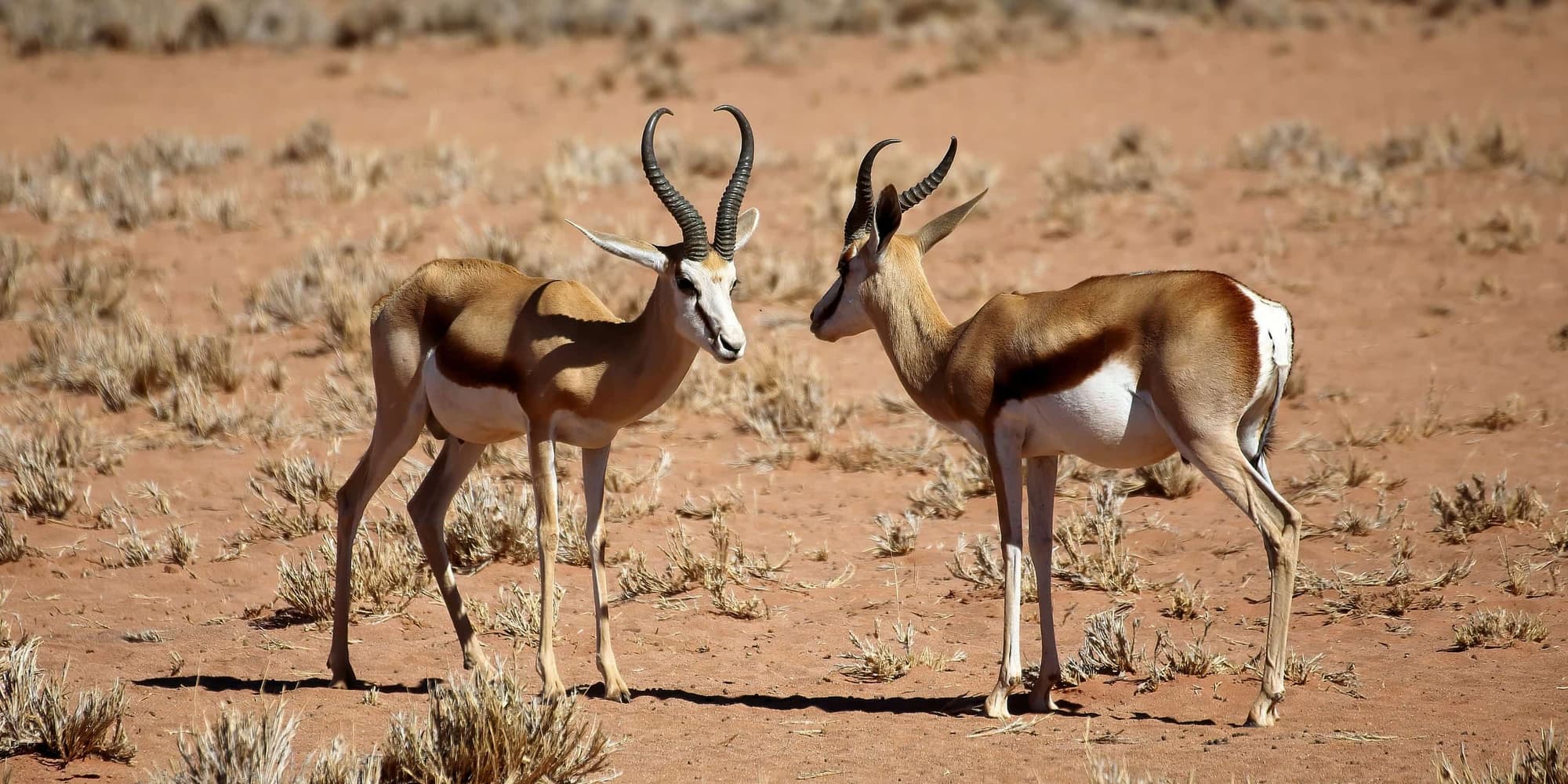 Giorno 5 - SWAKOPMUND - DAMARALAND