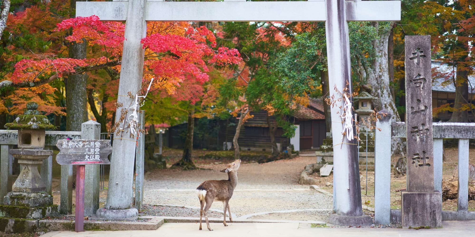 DÍA 04 (VIERNES) TOKIO – KIOTO – NARA – KIOTO