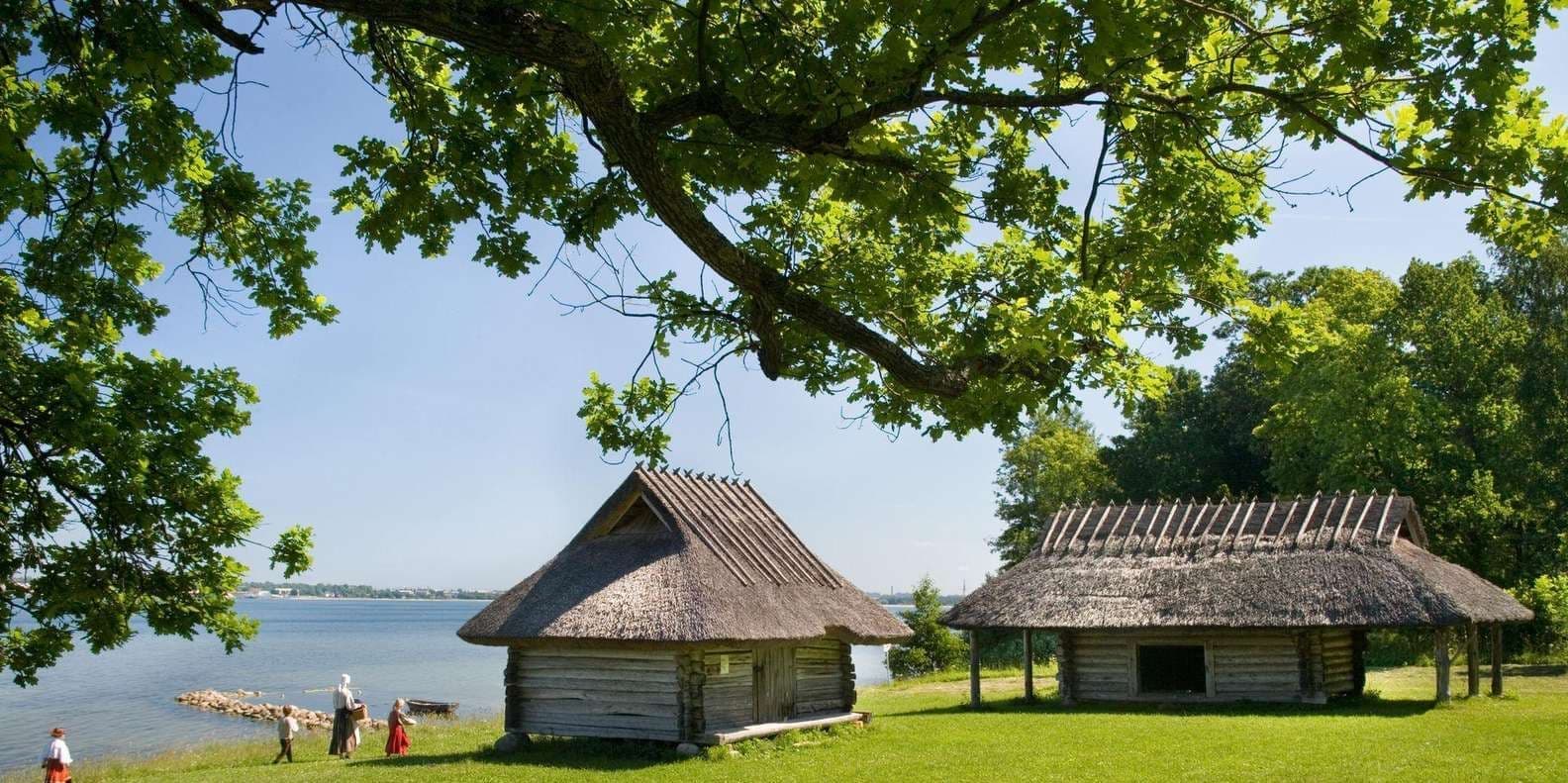 DÍA 11 – LUNES, TALLIN