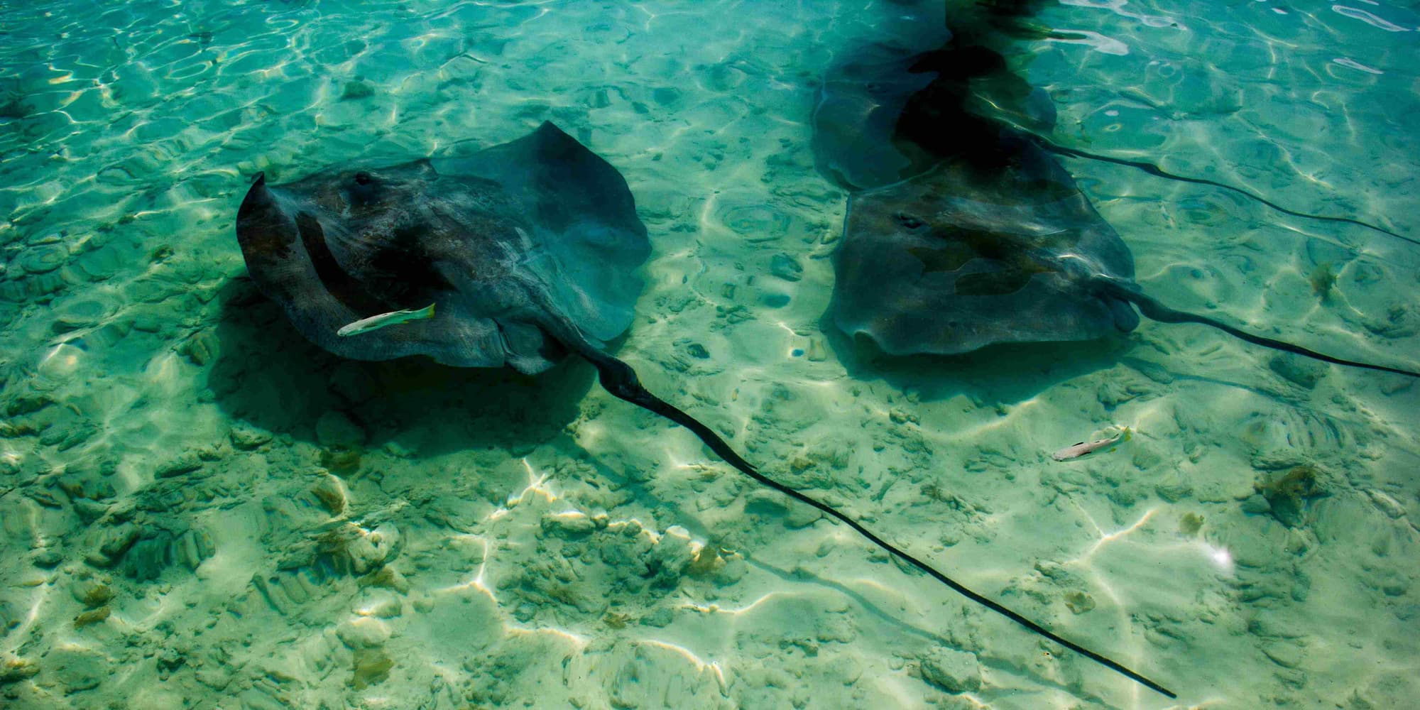 DIA 3: AVENTURA MARINHA EM BORA BORA