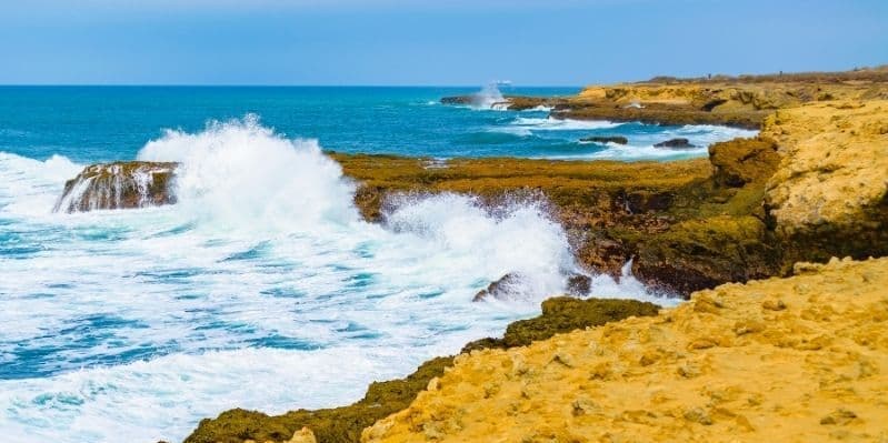 Día 3. FULL DAY ISLA DE LA PLATA