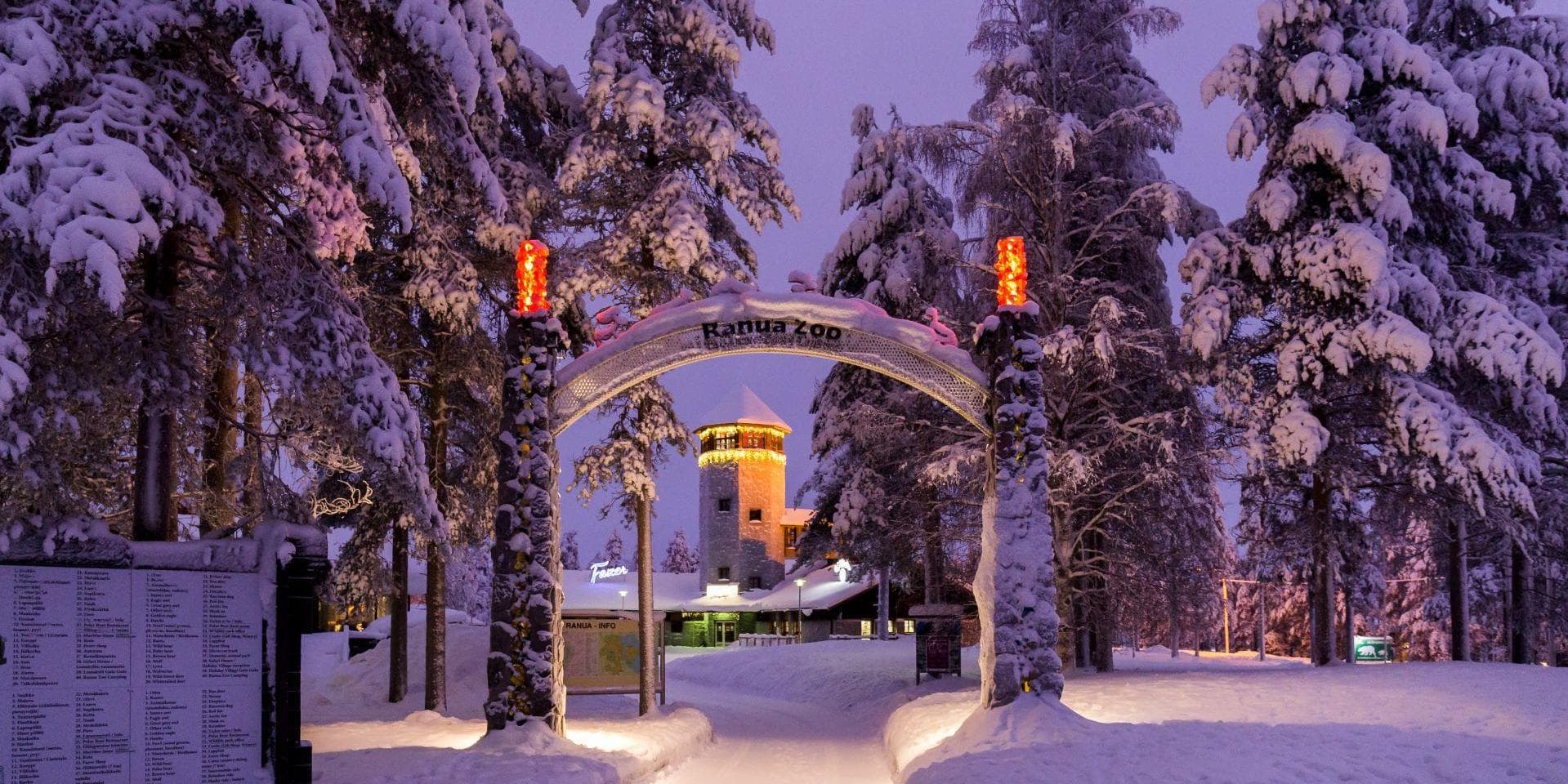 DÍA 6 – MARTES, ROVANIEMI