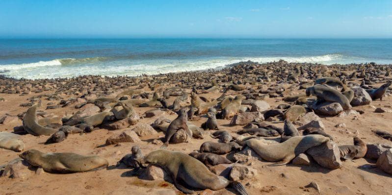 SWAKOPMUND / WALVIS BAY / SANDWICH HARBOUR / SWAKOPMUND