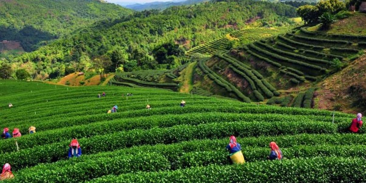 DÍA 4 • BANGKOK – CHIANG RAI