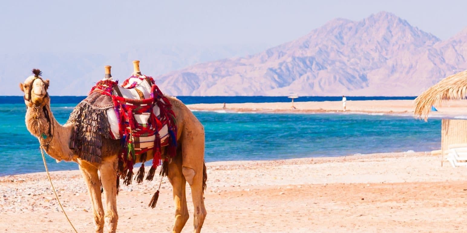 Dia 8| Hurgada: Relajo y Ocio en la Riviera Egipcia