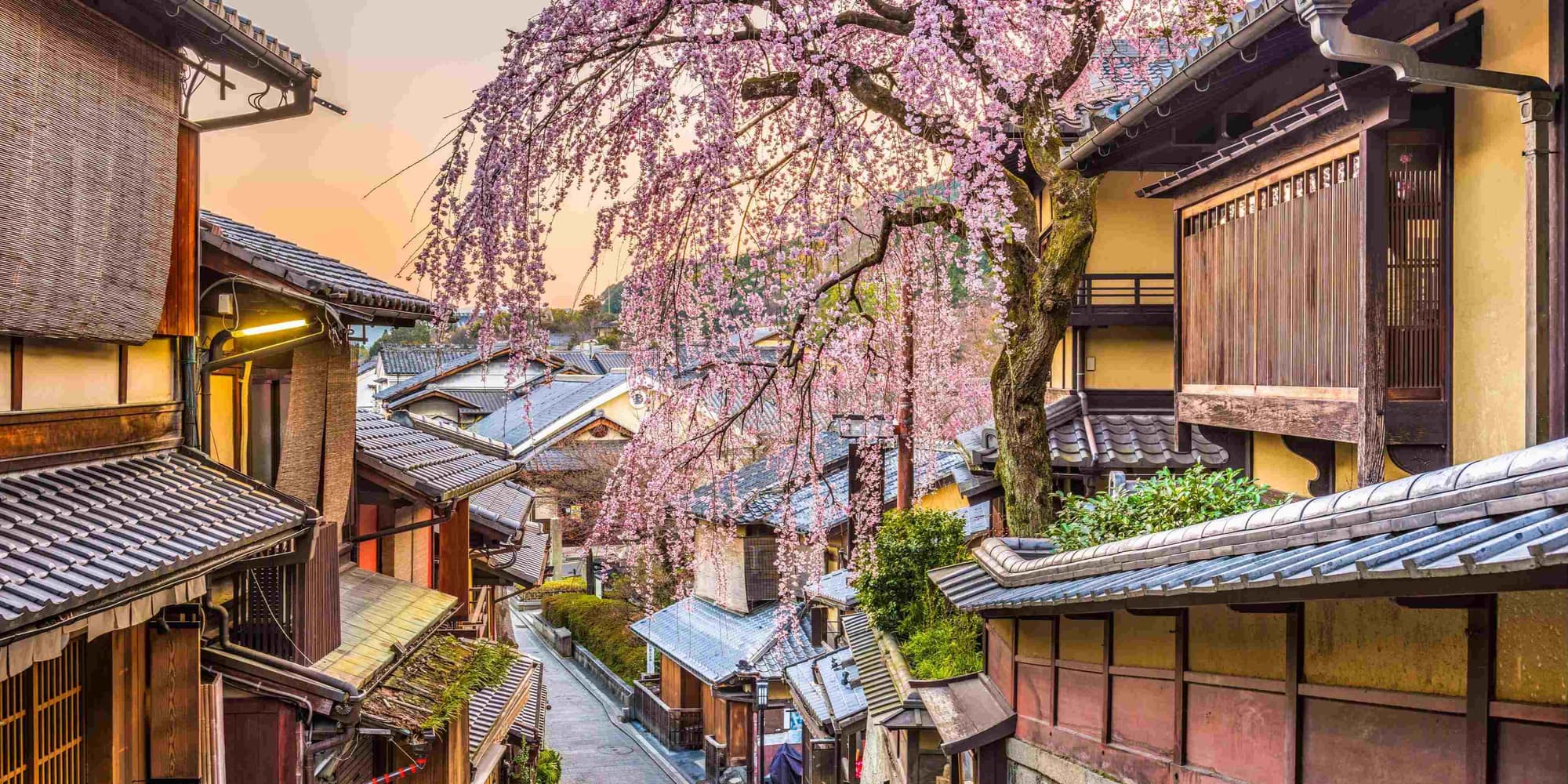 Day 7: KYOTO (Free day)