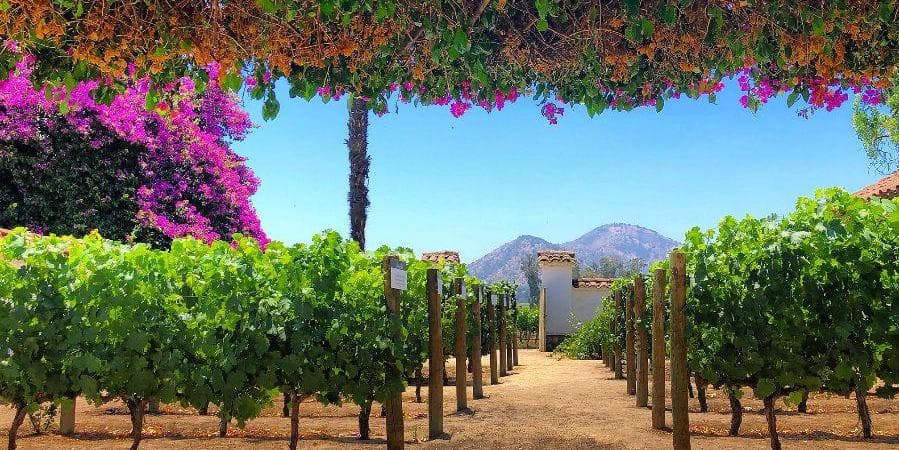 DAY 5 FREE DAY AND RETURN TO PANAMA