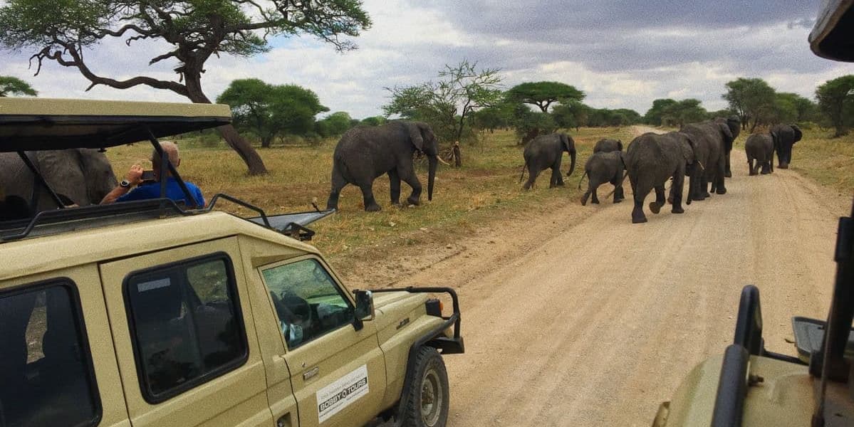 DAY 2 – Tarangire National Park