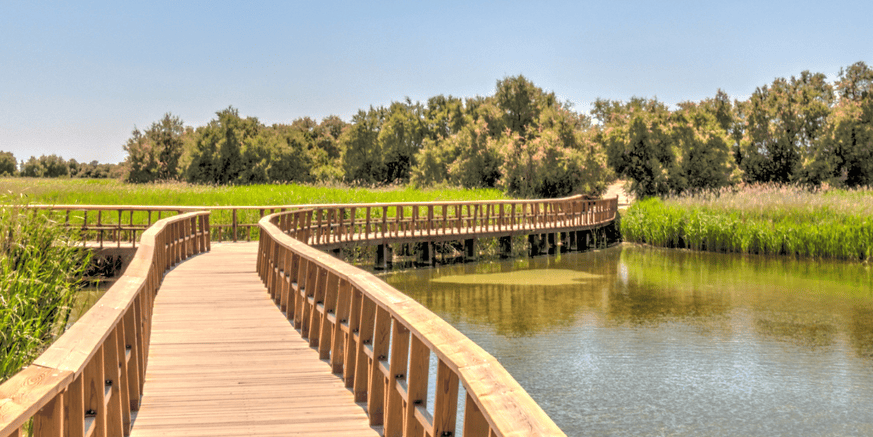 20 marzo. PARQUE NACIONAL DE LAS TABLAS DE DAIMIEL – CIUDAD REAL
