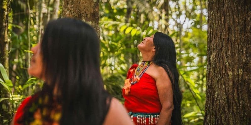 Día 4. QUITO - AMAZONIA (4h)