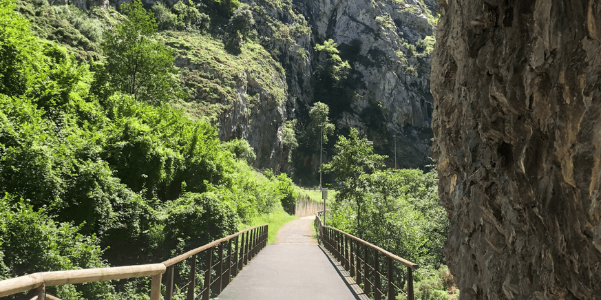 10 noviembre. RUTA DEL OSO – TEVERGA 