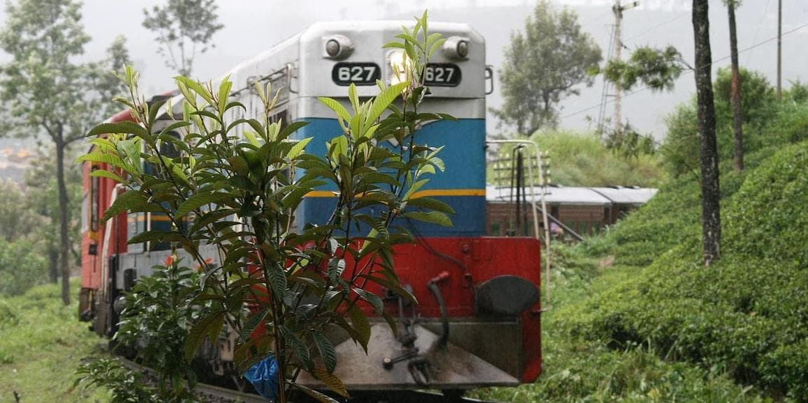 Giorno 7: KANDY / NUWARA ELIYA (circa 03 ore in auto)