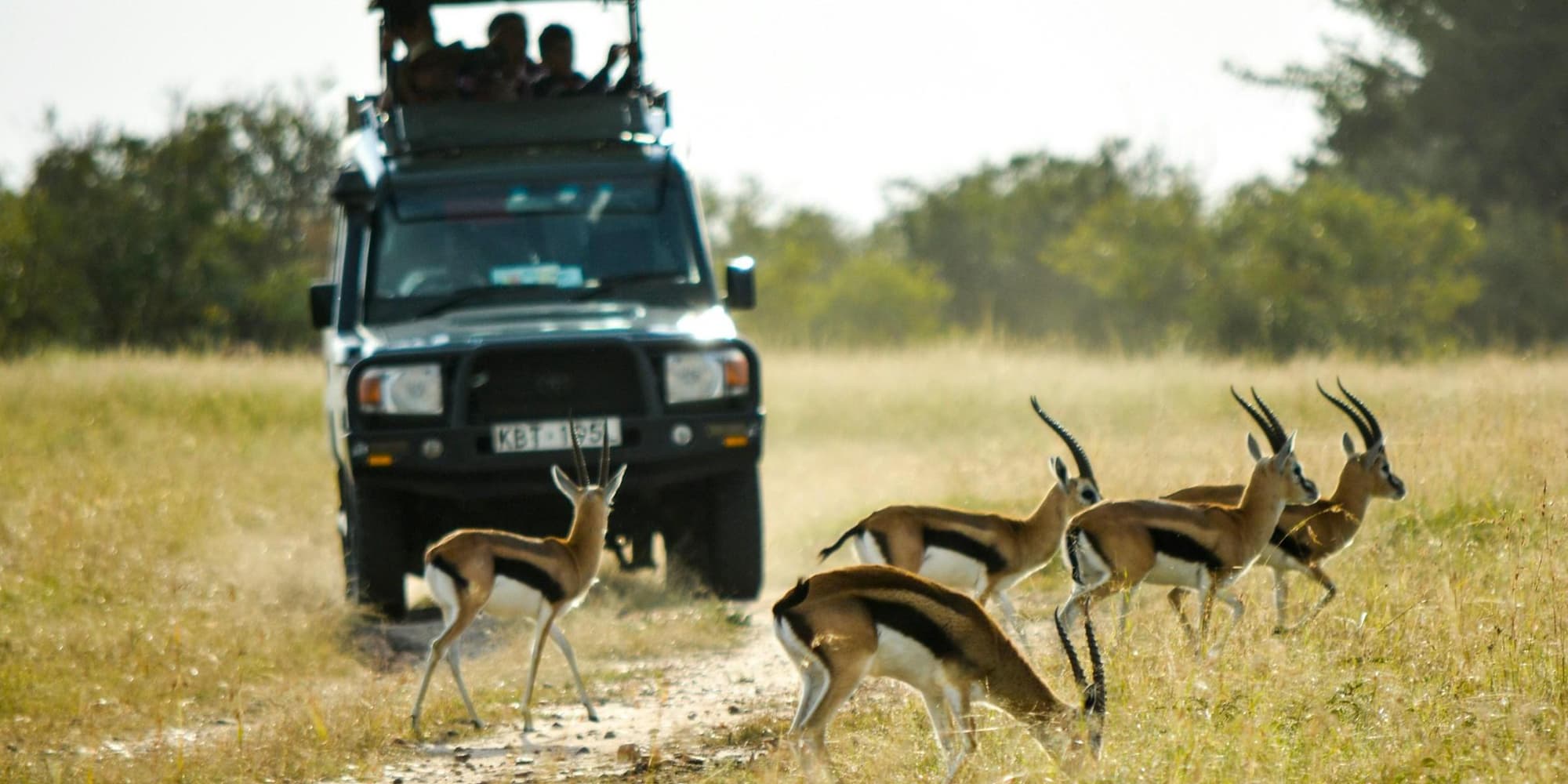 DIA 6 – LAGO NAKURU / RESERVA NACIONAL DE MASAI MARA