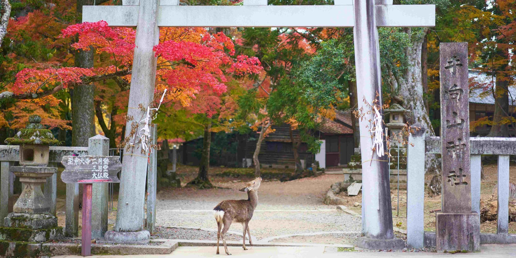 DÍA 2 • OSAKA – NARA – KYOTO