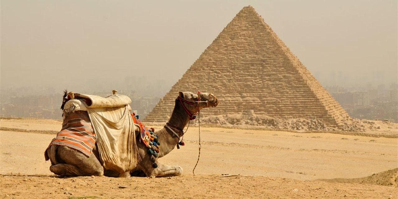 DAY 7 • DUBAI - CAIRO