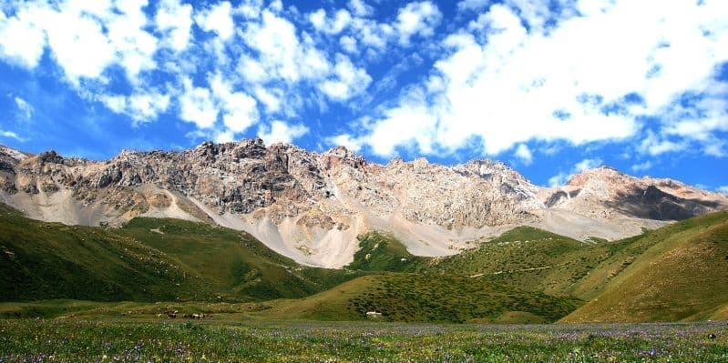 NARYN  / AK SAI / KOK KYIA