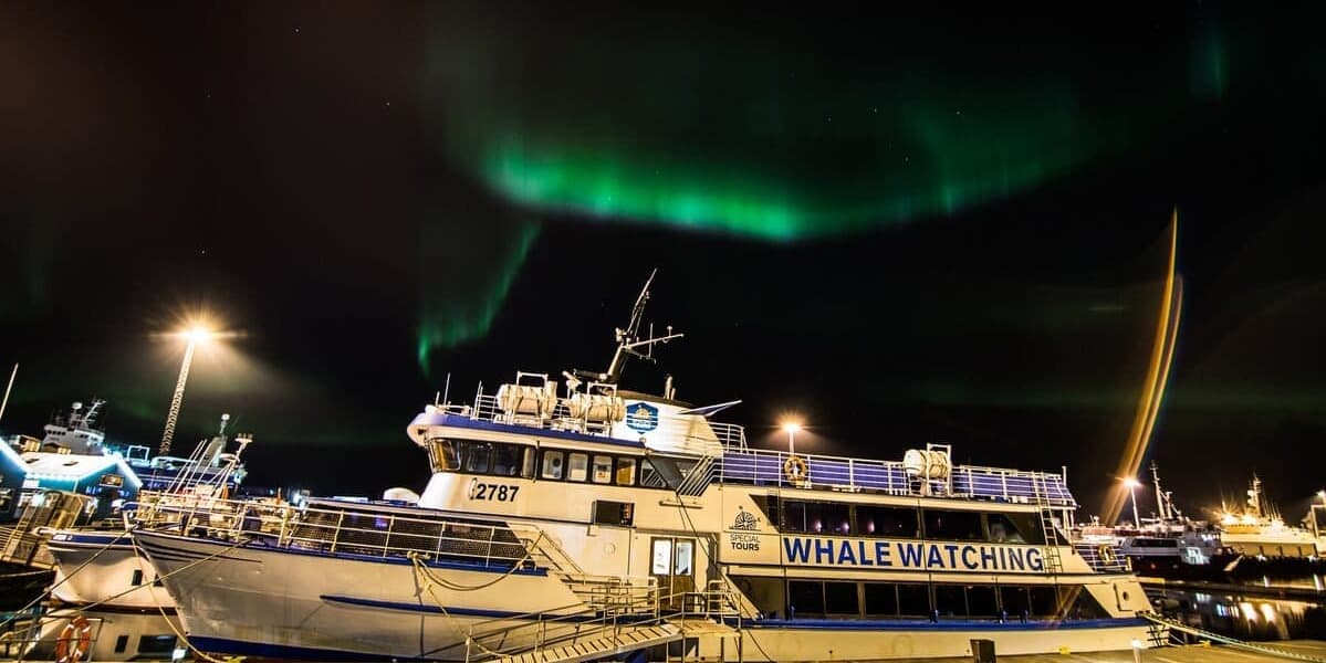Day 1: Reykjavik & Northern Lights Boat Tour