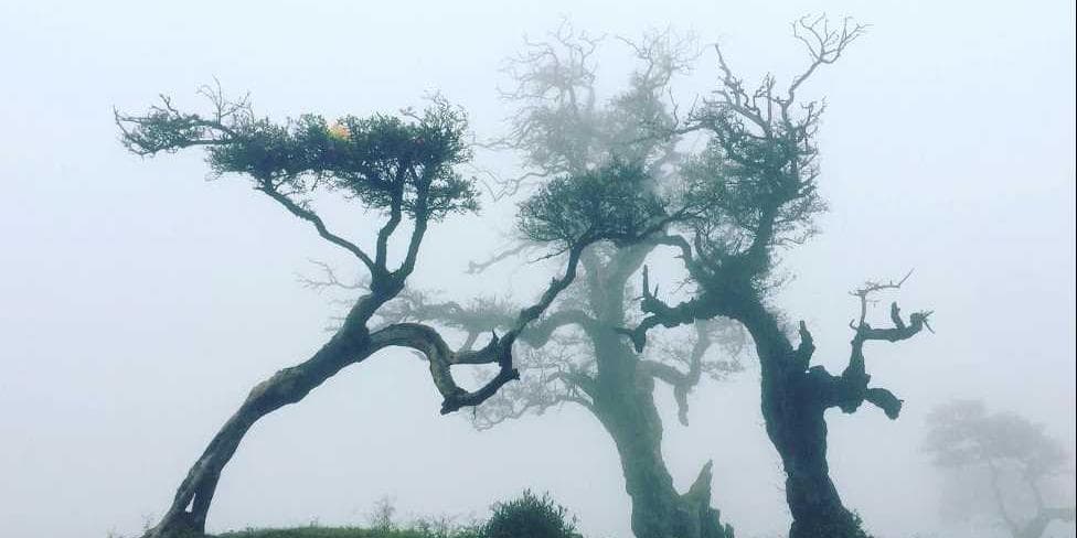 DAY 01: ARRIVAL SALALAH