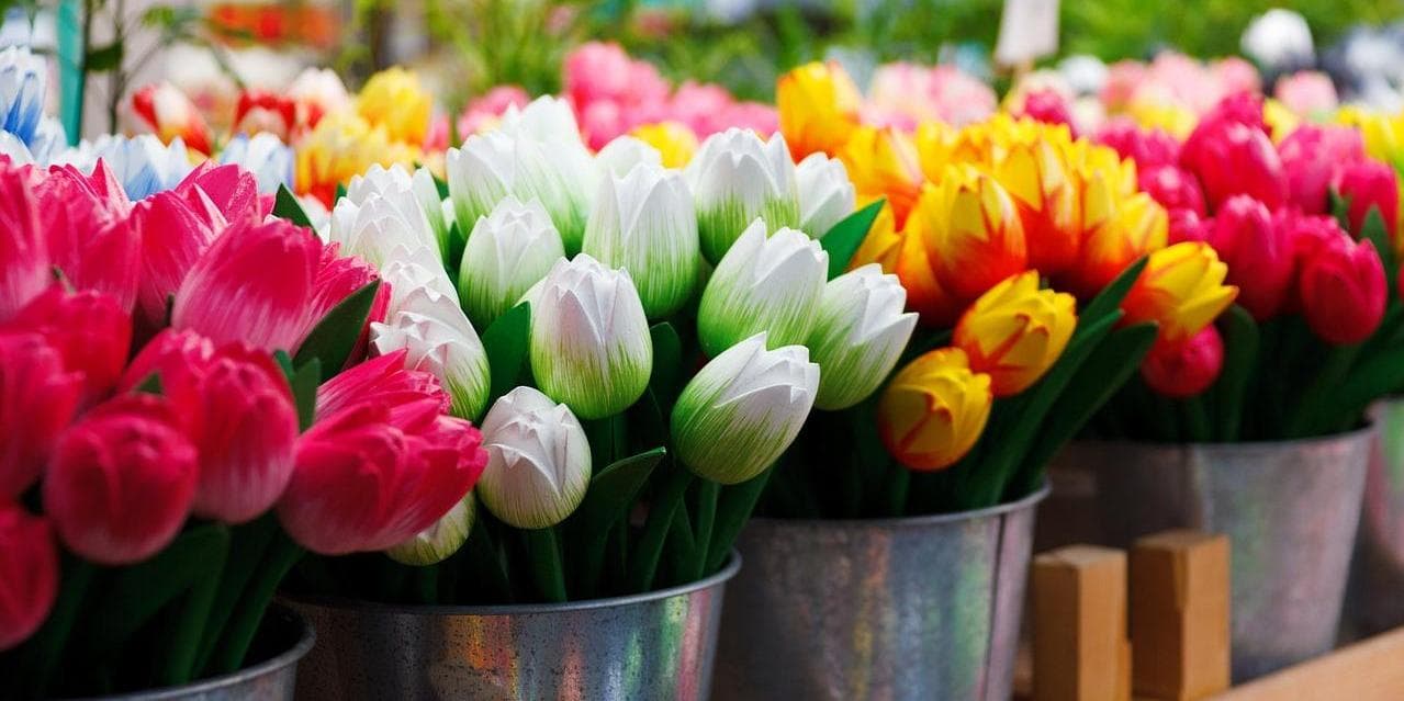 9º Giorno – AMSTERDAM