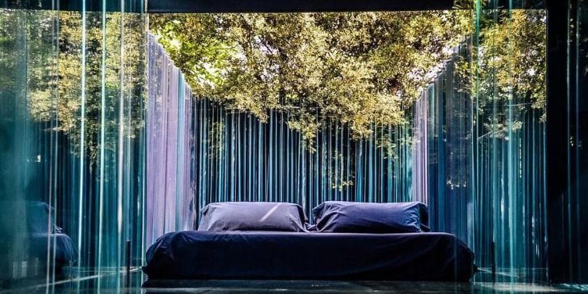 Day 2: Nature and Michelin-Starred Gastronomy