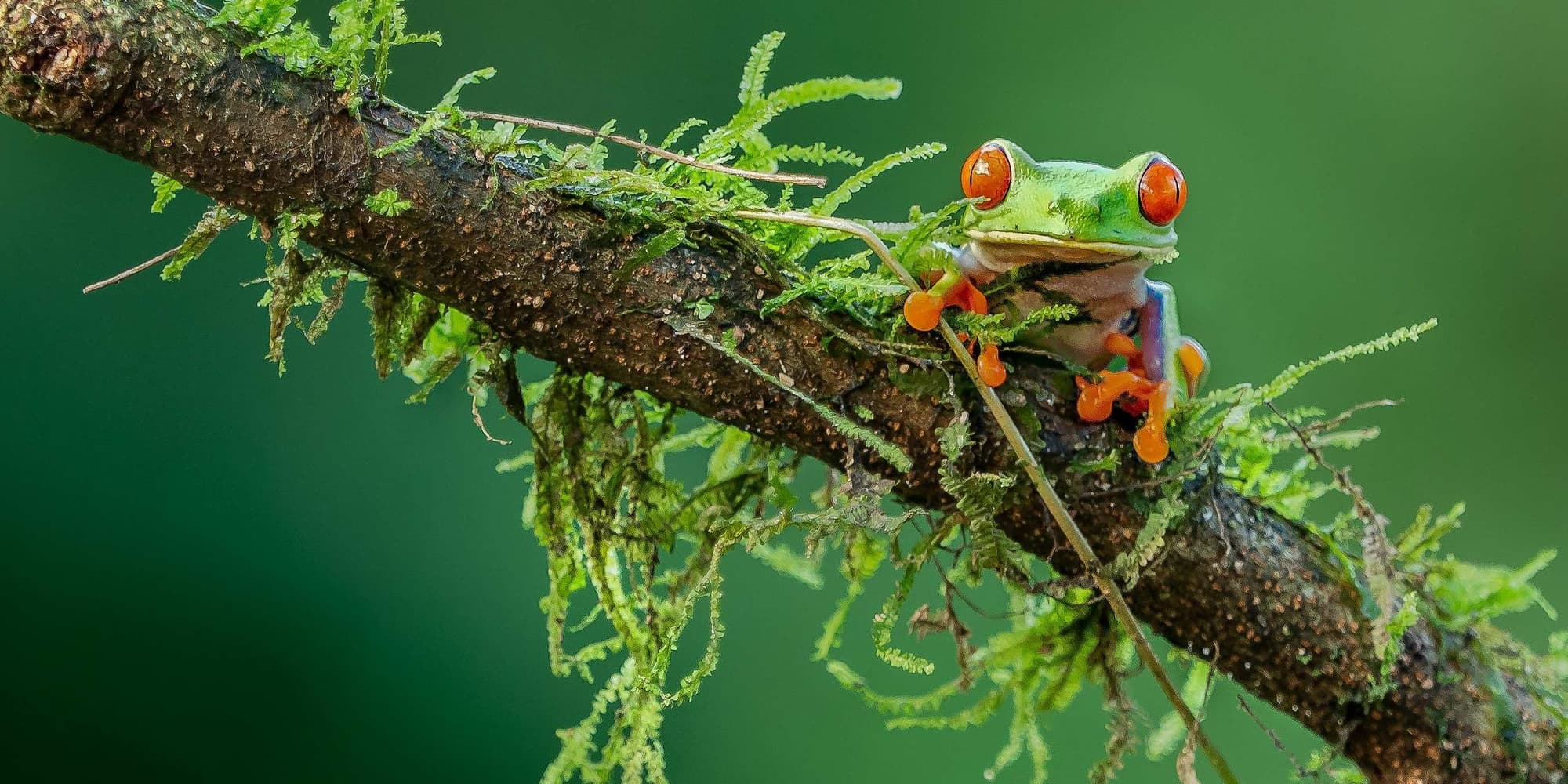 6° Giorno: La Fortuna B/-/-