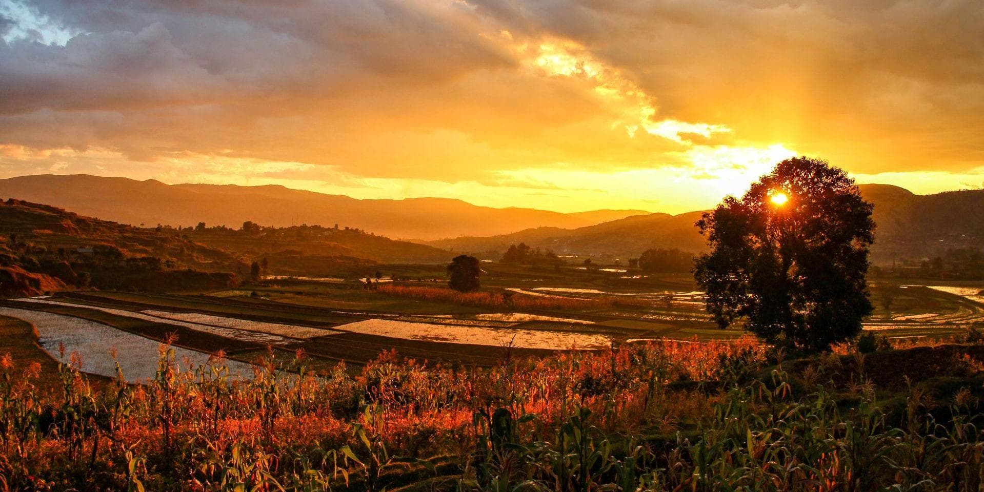 Jour 2 : Antananarivo - Antsirabe (Environ 170 kms 6h)