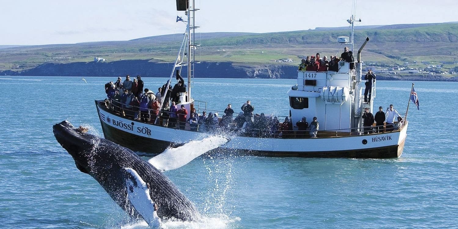Day 8 - Whale Watching in Eyjafjörður - Siglufjörður -Tröllaskagi - Laugarbakki