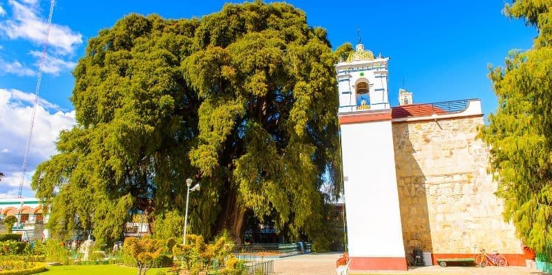 OAXACA / TEHUANTEPEC