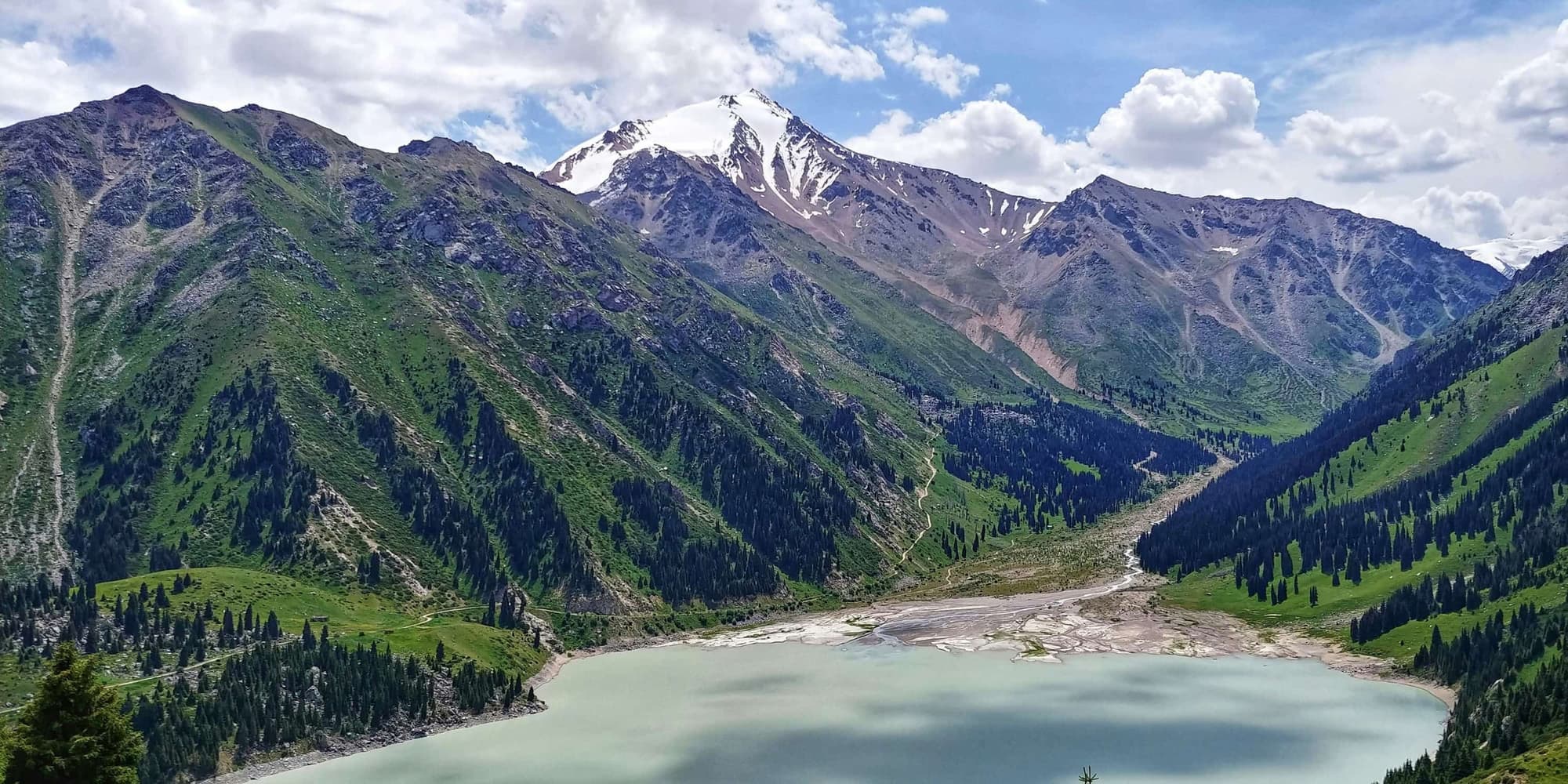 Full Package Program