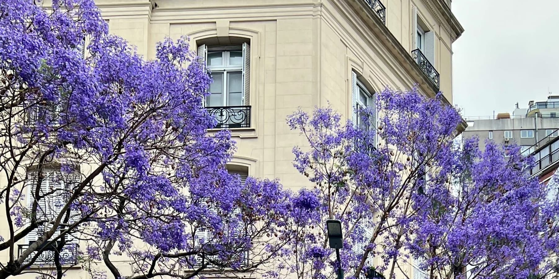 10° Giorno – Buenos Aires B/-/-