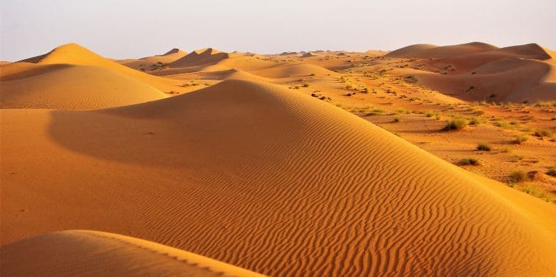 WAHIBA SANDS
