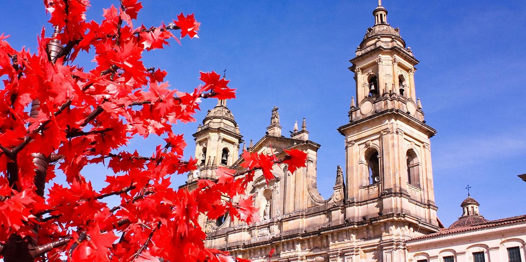 Día 6. City tour en Bogotá en privado  y traslado de salida