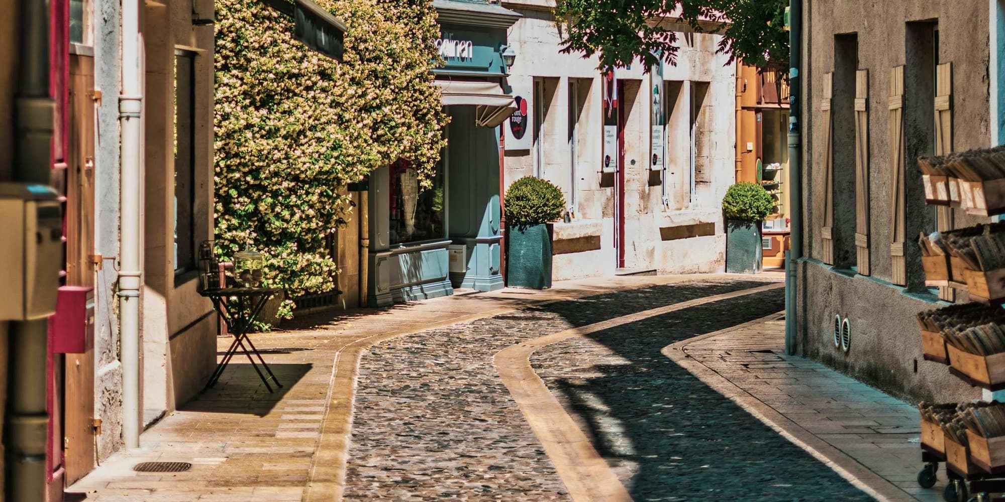 DAY 4: BALANCE AND RENEWAL IN NATURE