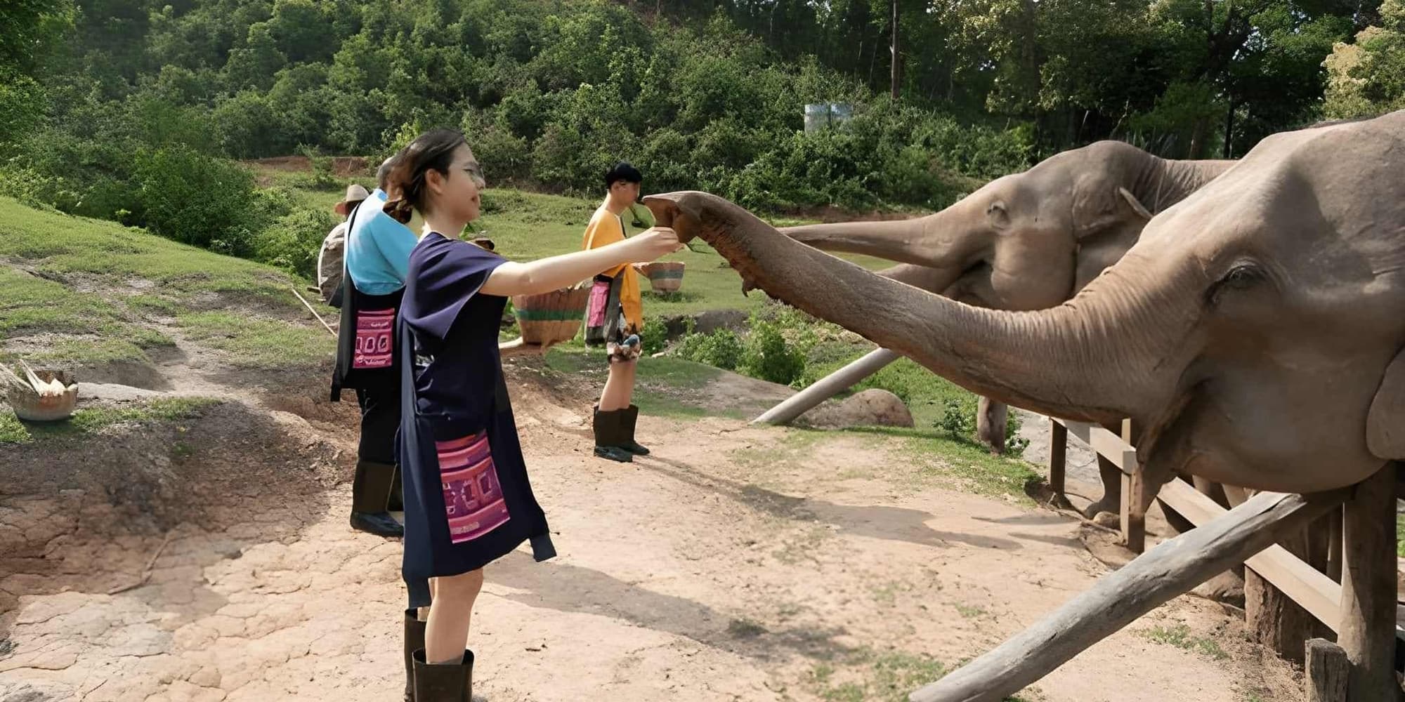 Día 5 | Chiang Mai, la esencia del norte y el reino de los elefantes