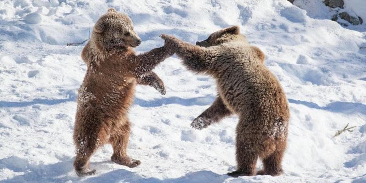 DAY 5 • ROVANIEMI – RANUA – ROVANIEMI