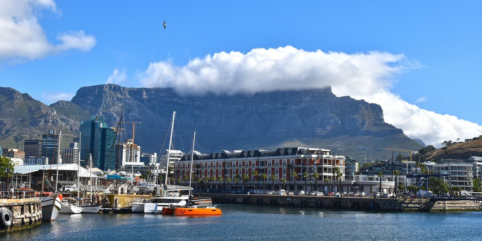 Day 3 – Cape Peninsula Spectacular