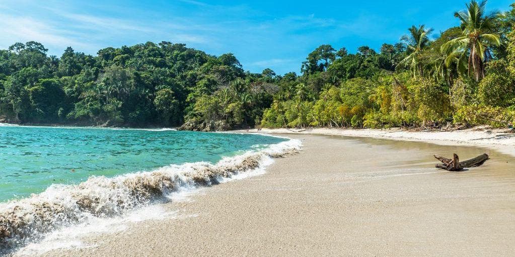 Día 4 - Tour de senderismo al Parque Nacional Manuel Antonio