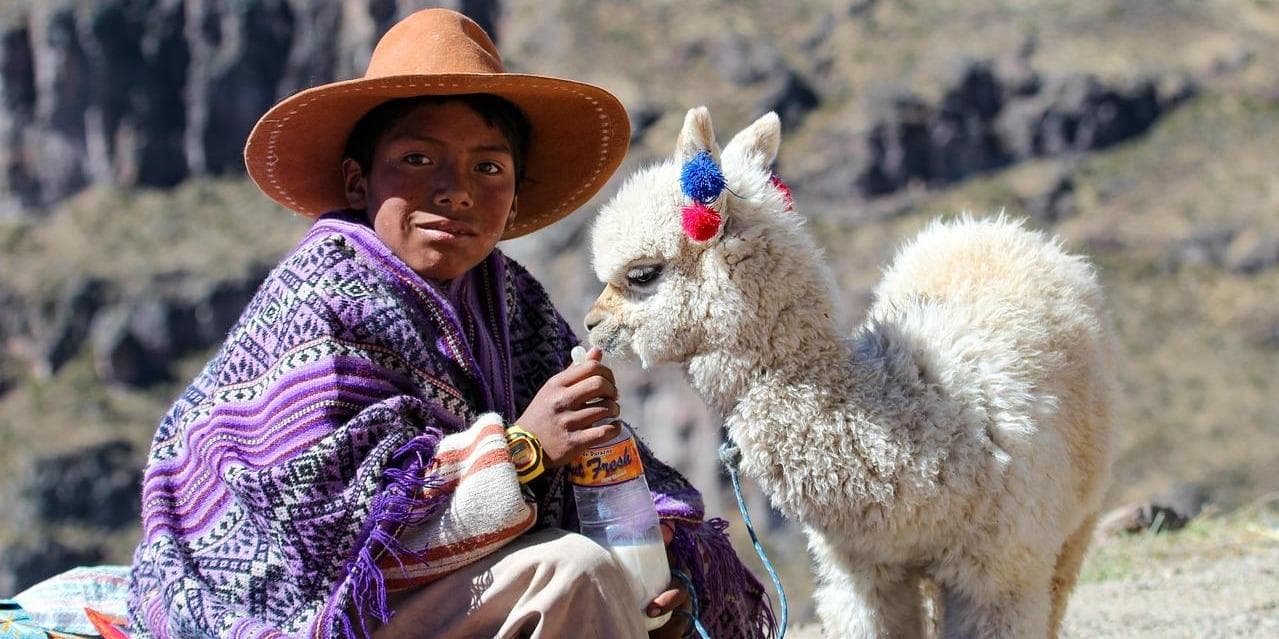 3° giorno: Da Arequipa alla Valle del Colca – Un viaggio tra altopiani e tradizioni (durata trasferimento circa 4 ore)