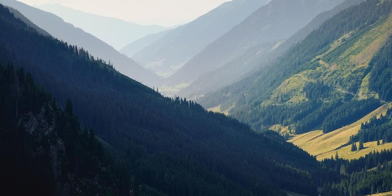 3rd DAY: Discovering your origins