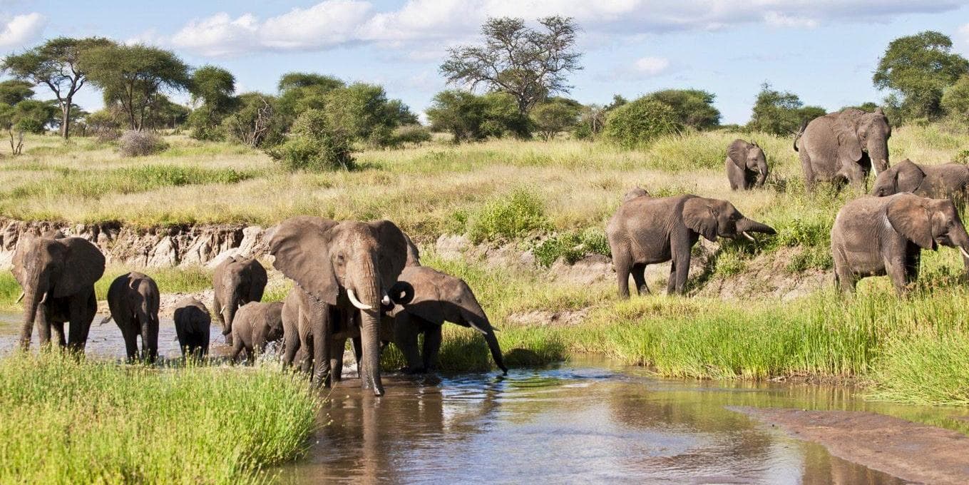  Dia 2: Safari no Parque Nacional Tarangire