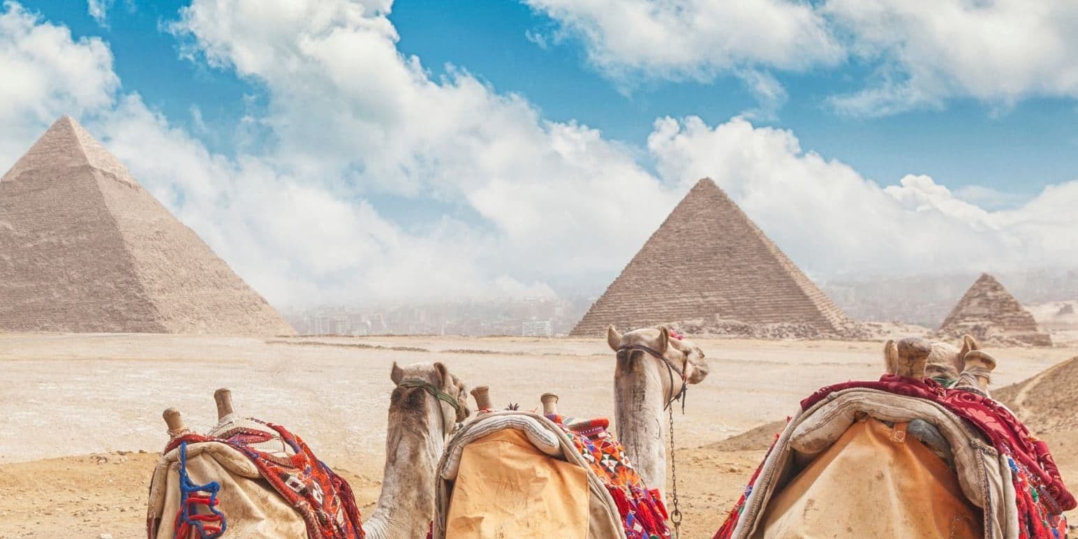 Dia 10| El Cairo - Alejandria - El Cairo