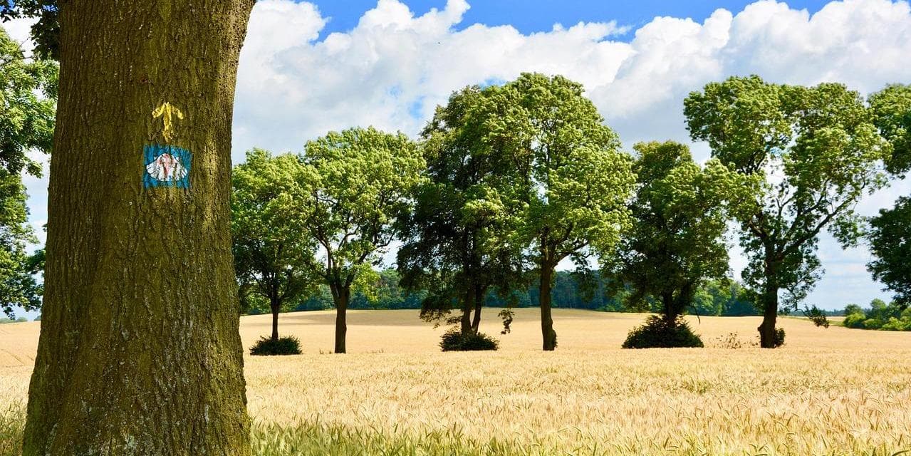 3º GG – Pontedeume – Betanzos (19,7 km)